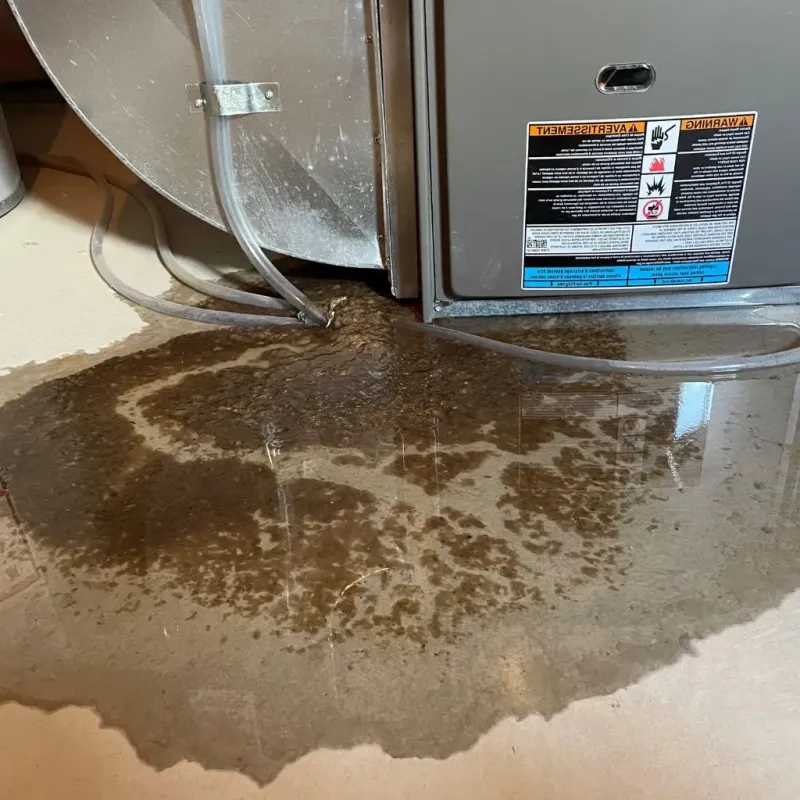 Pipe Burst and Leak Restoration in Pendleton County, KY
