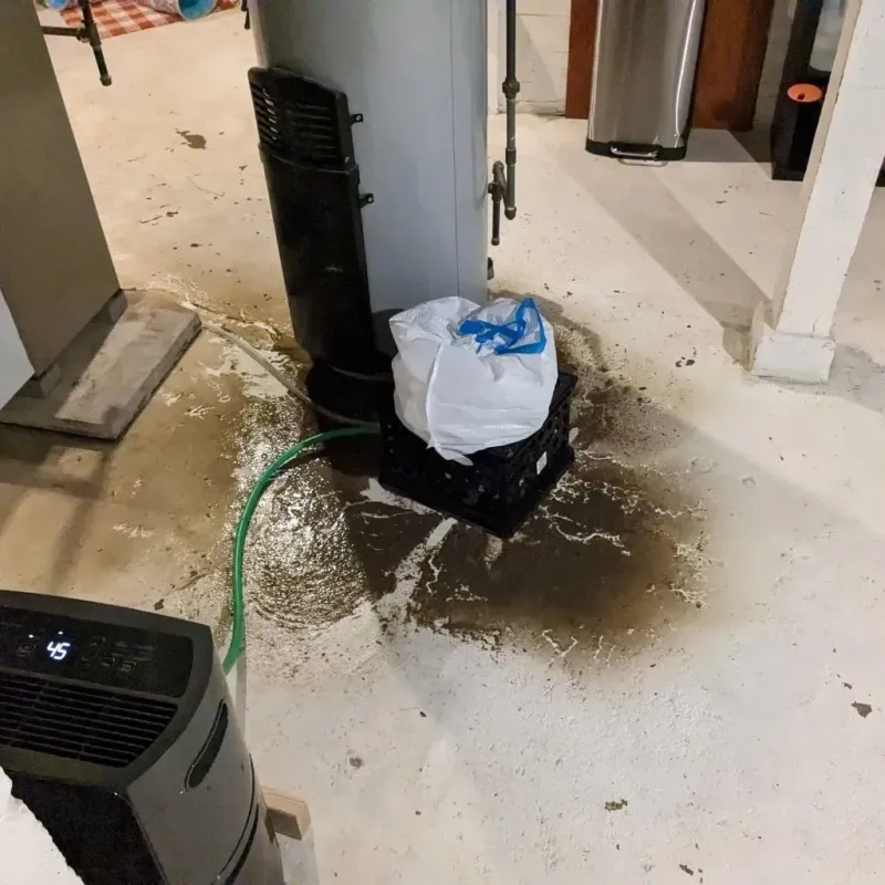 Sewage Backup Cleanup Service in Pendleton County, KY